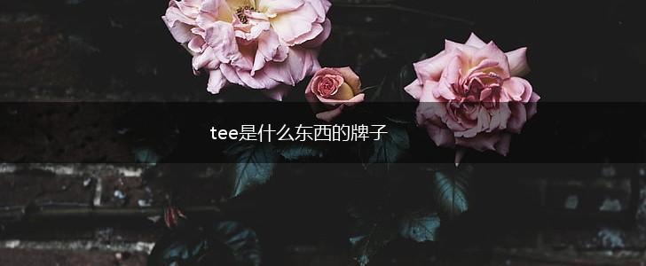 tee是什么东西的牌子,第1张