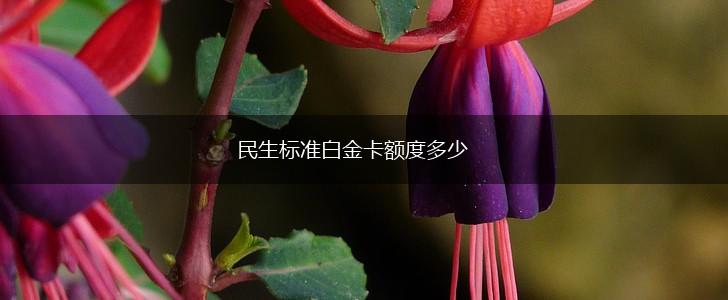 民生标准白金卡额度多少,第1张