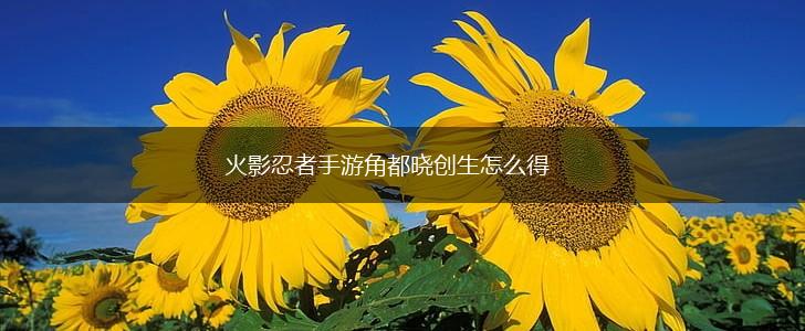 火影忍者手游角都晓创生怎么得,第1张