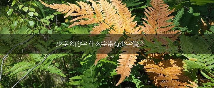 少字旁的字 什么字带有少字偏旁,第1张