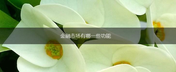 金融市场有哪一些功能,第1张