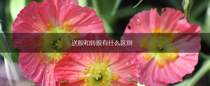 送股和转股有什么区别,第1张