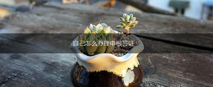 自己怎么办理申根签证,第1张