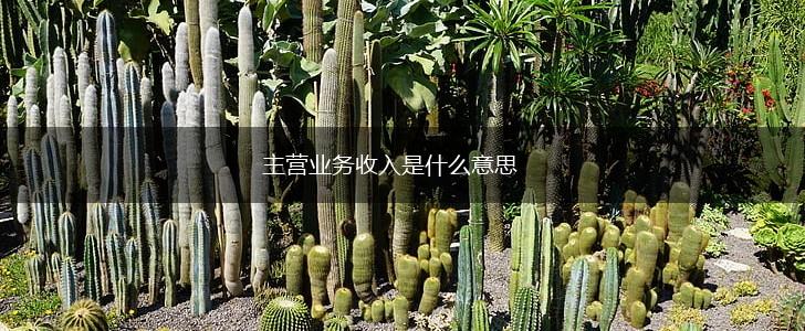 主营业务收入是什么意思,第1张