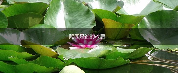 瞻园是谁的故居,第1张