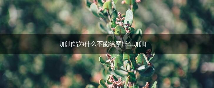 加油站为什么不能给摩托车加油,第1张
