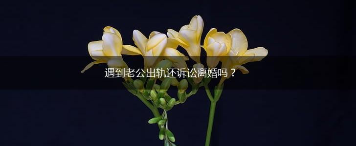 遇到老公出轨还诉讼离婚吗？,第1张