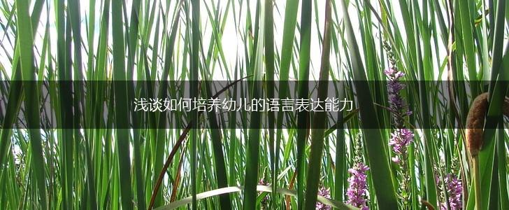 浅谈如何培养幼儿的语言表达能力,第1张