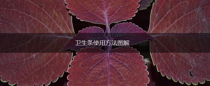 卫生条使用方法图解,第1张