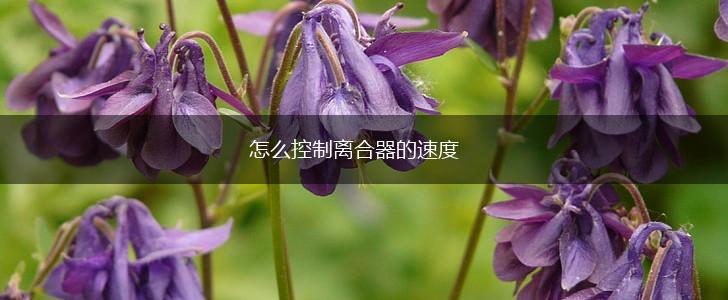 怎么控制离合器的速度,第1张