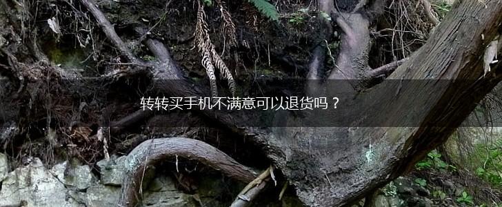 转转买手机不满意可以退货吗？,第1张