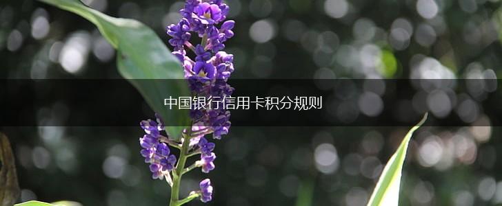 中国银行信用卡积分规则,第1张