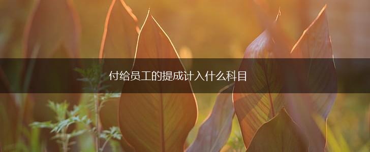 付给员工的提成计入什么科目,第1张