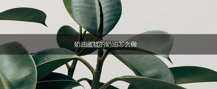奶油蛋糕的奶油怎么做,第1张