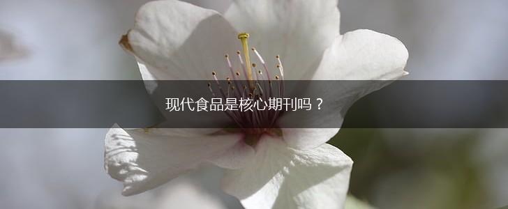 现代食品是核心期刊吗？,第1张