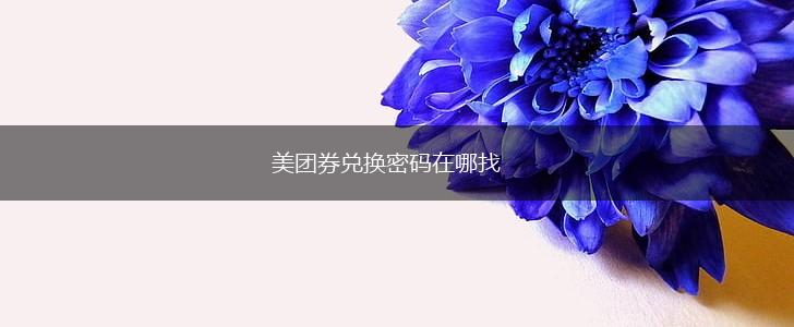 美团券兑换密码在哪找,第1张
