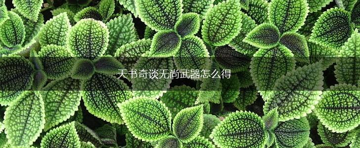 天书奇谈无尚武器怎么得,第1张