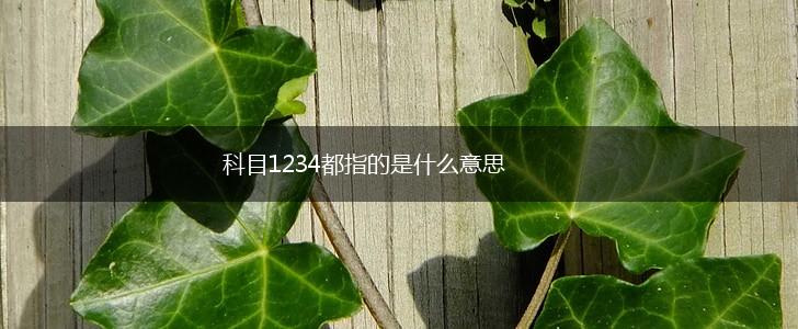 科目1234都指的是什么意思,第1张