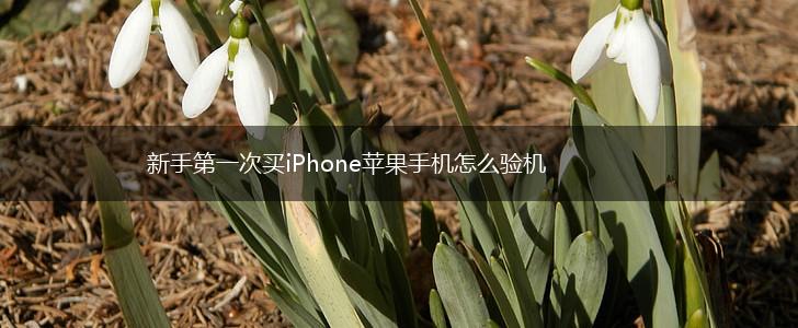 新手第一次买iPhone苹果手机怎么验机,第1张