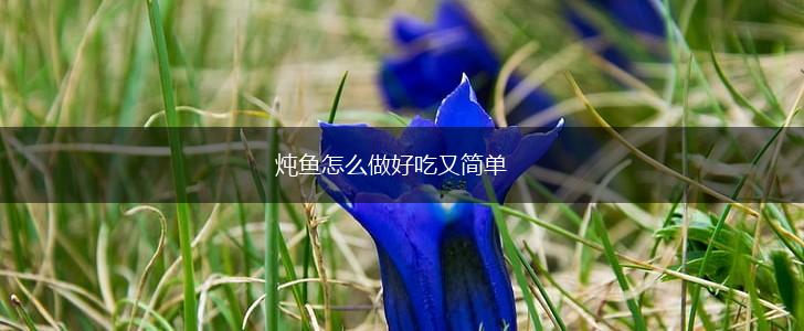 炖鱼怎么做好吃又简单,第1张