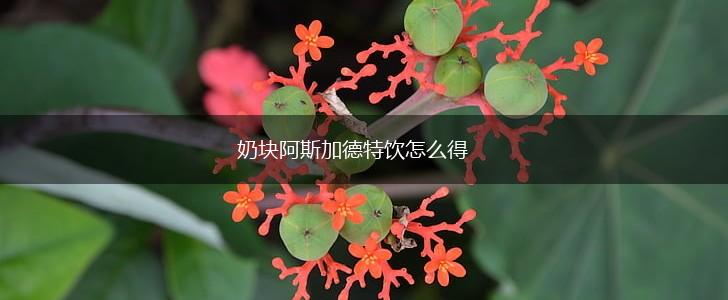 奶块阿斯加德特饮怎么得,第1张