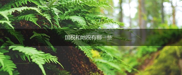 国税和地税有哪一些,第1张