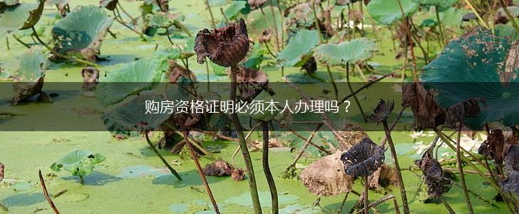 购房资格证明必须本人办理吗？,第1张