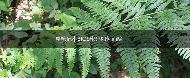 三星笔记本BIOS密码如何消除,第1张
