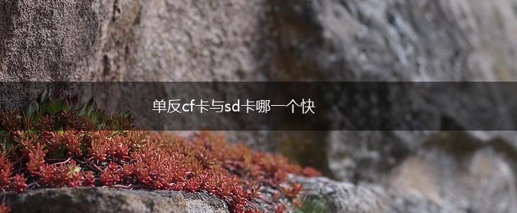 单反cf卡与sd卡哪一个快,第1张