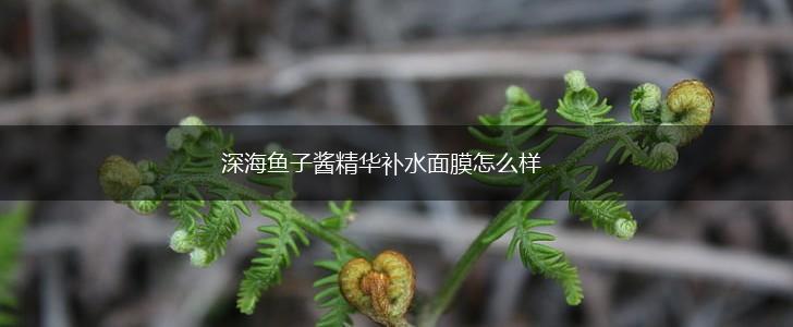 深海鱼子酱精华补水面膜怎么样,第1张