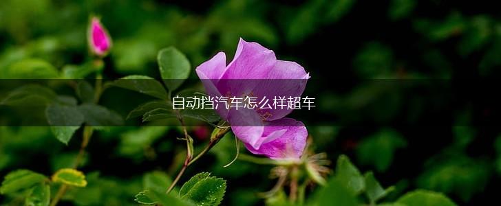 自动挡汽车怎么样超车,第1张