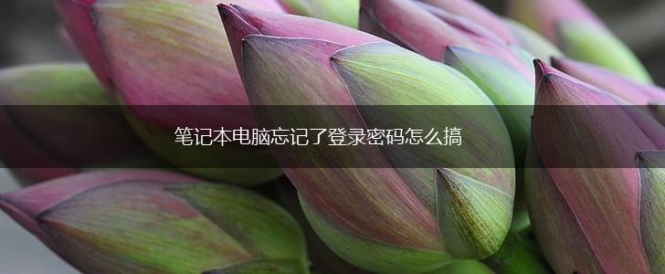 笔记本电脑忘记了登录密码怎么搞,第1张
