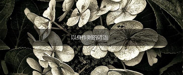 以身作则的谚语,第1张