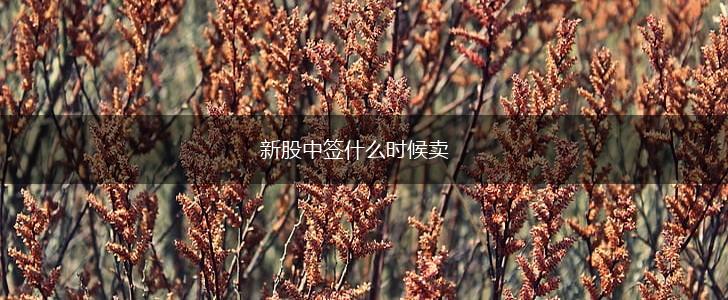 新股中签什么时候卖,第1张