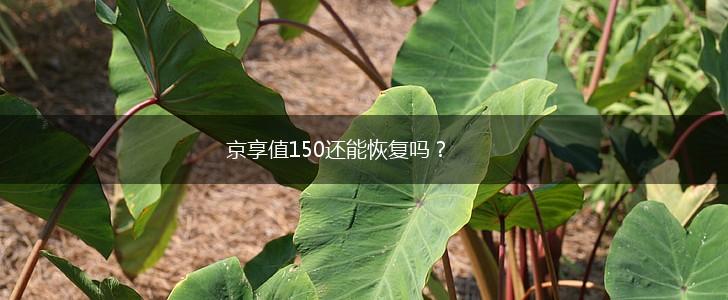 京享值150还能恢复吗？,第1张
