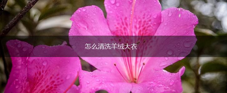 怎么清洗羊绒大衣,第1张