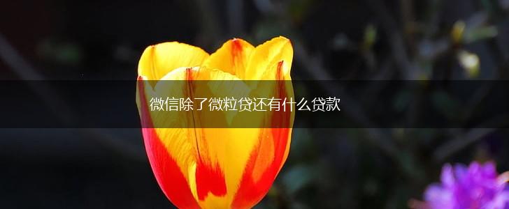 微信除了微粒贷还有什么贷款,第1张