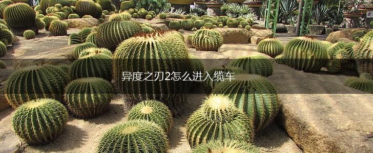 异度之刃2怎么进入缆车,第1张