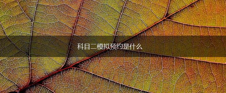 科目二模拟预约是什么,第1张