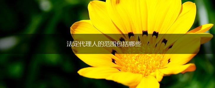 法定代理人的范围包括哪些,第1张