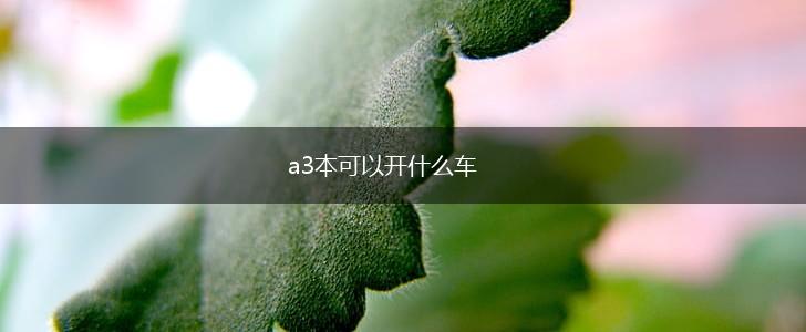 a3本可以开什么车,第1张