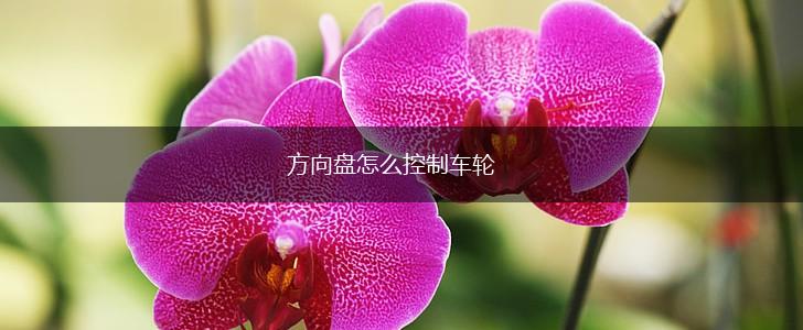 方向盘怎么控制车轮,第1张