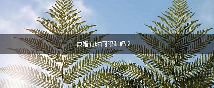 复婚有时间限制吗？,第1张