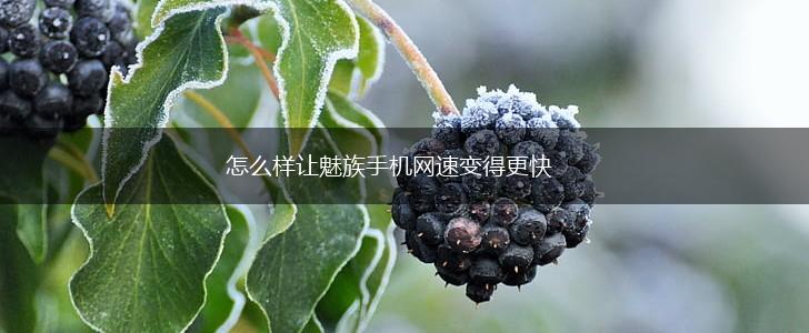 怎么样让魅族手机网速变得更快,第1张
