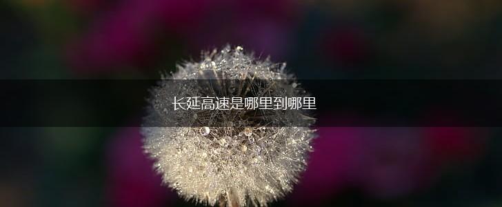 长延高速是哪里到哪里,第1张