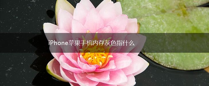 iPhone苹果手机内存灰色指什么,第1张