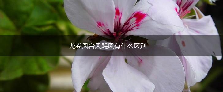 龙卷风台风飓风有什么区别,第1张