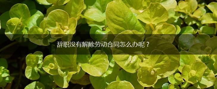 辞职没有解除劳动合同怎么办呢？,第1张