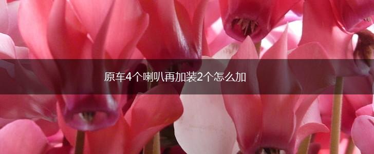 原车4个喇叭再加装2个怎么加,第1张
