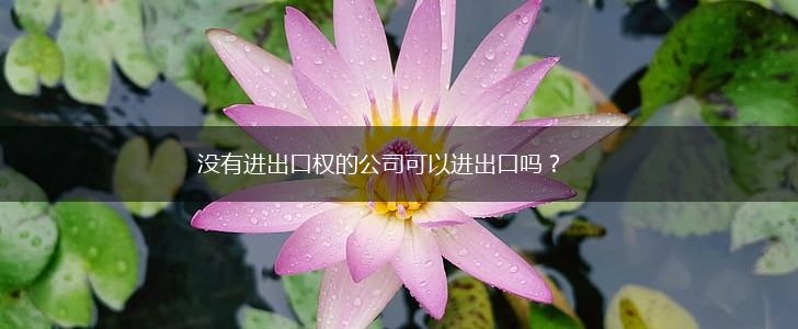 没有进出口权的公司可以进出口吗？,第1张